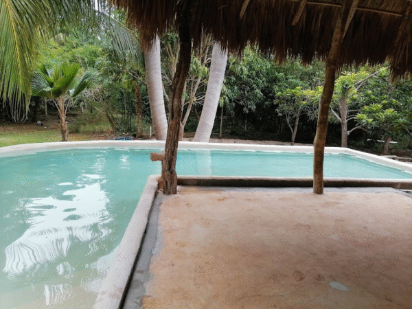 image (9) Chukum PC38